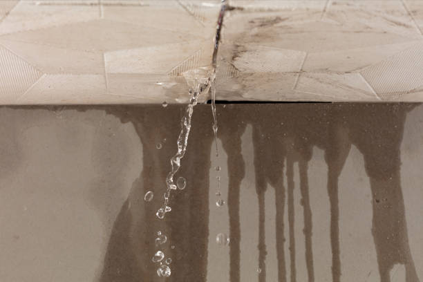 Professional Structural Drying technician working in Ottoville, OH